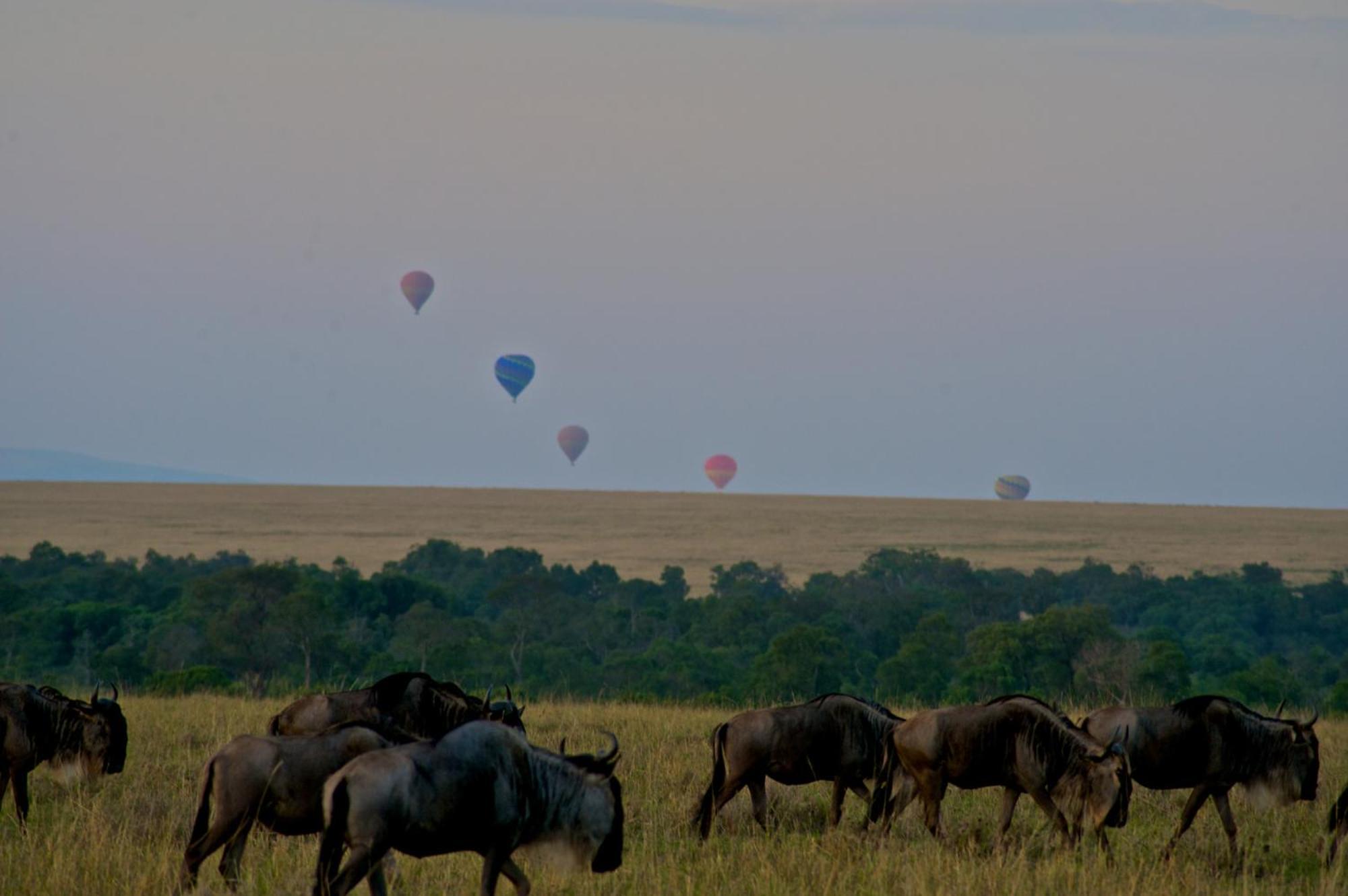 Mara Elatia Camp Maasai Mara Exterior foto